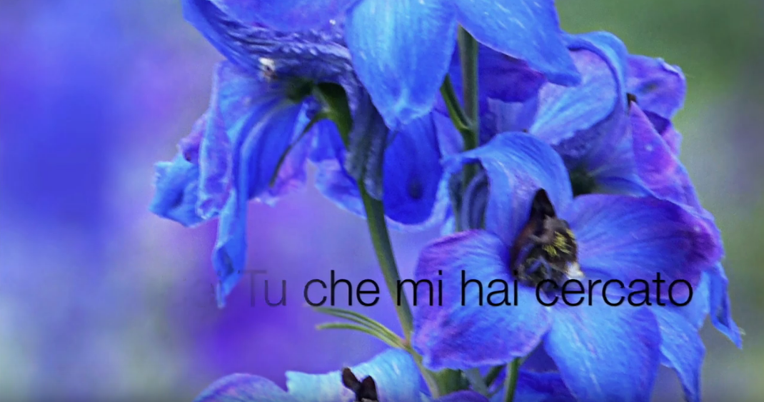 Pobežím k Tebe