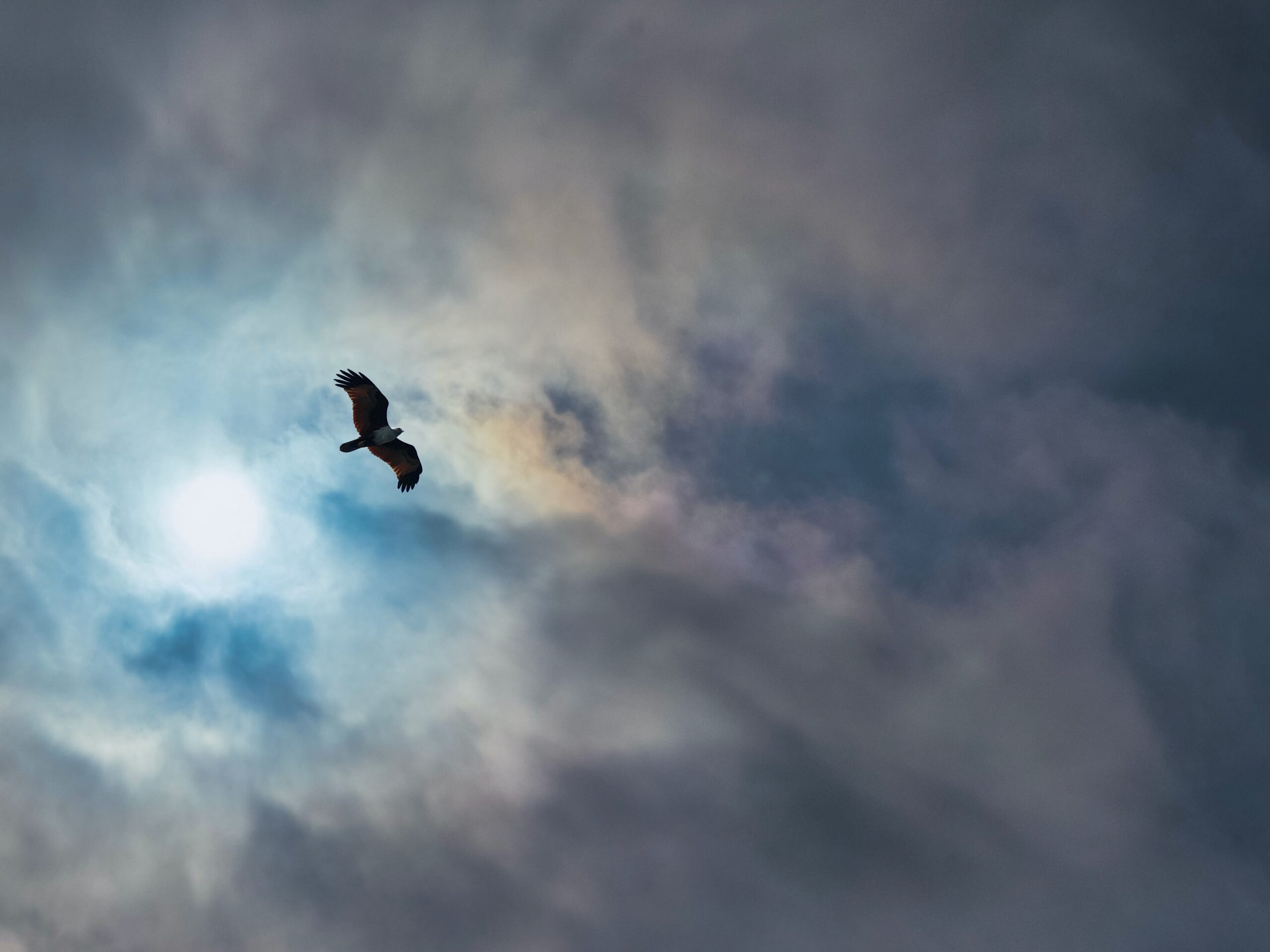 Luke 4 – The Spirit of the Lord is upon me